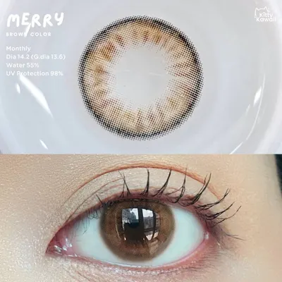 Merry – Kitty Kawaii คอนแทคเลนส์บิ๊กอาย สีน้ำตาล ของแท้ มี อย.